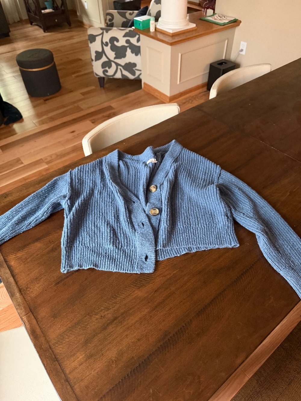 American Eagle knit sweater